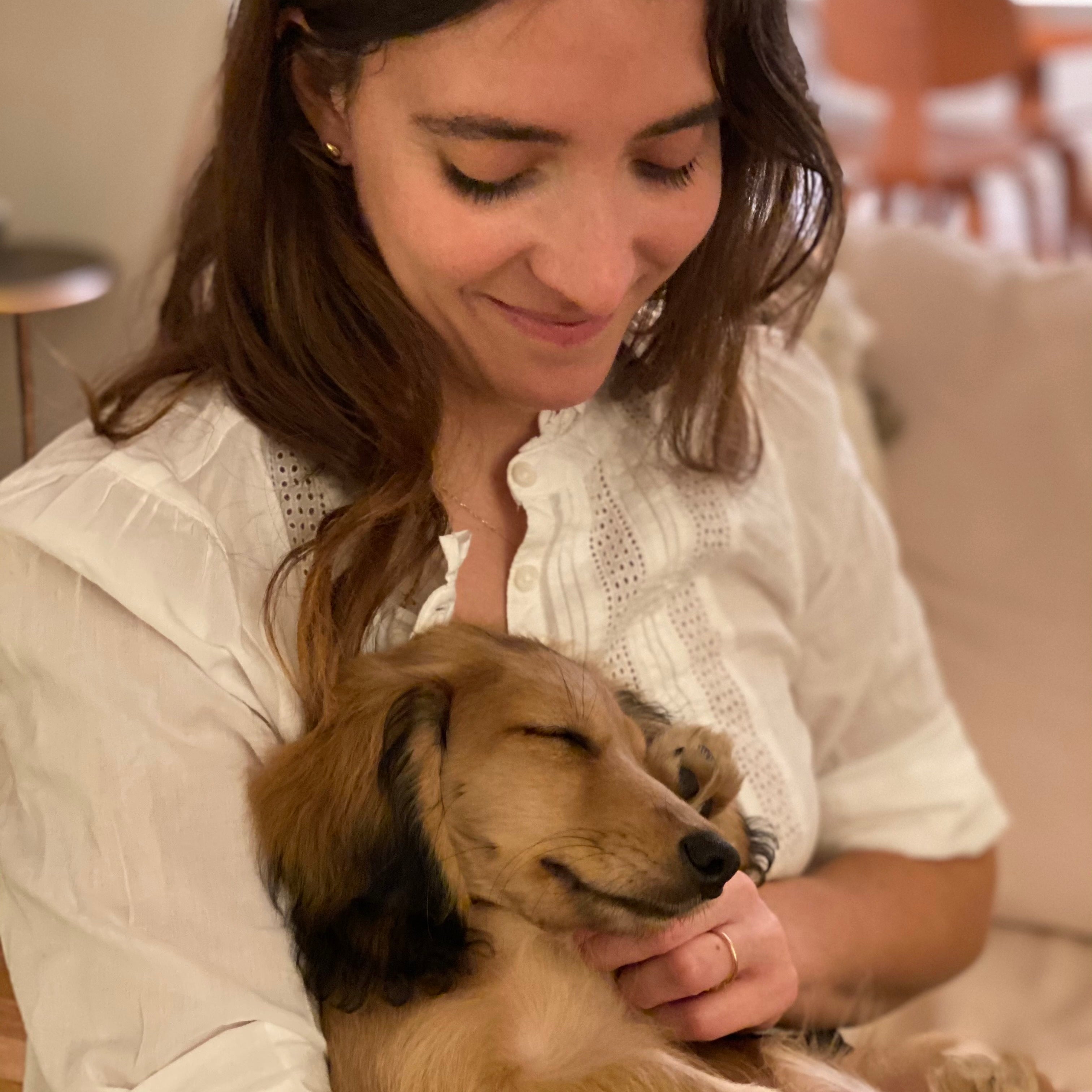 What it’s like to bring home your dachshund puppy