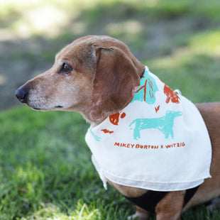 A behind the scenes look at our new bandanas