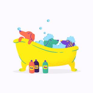 How to give your dachshund a bath