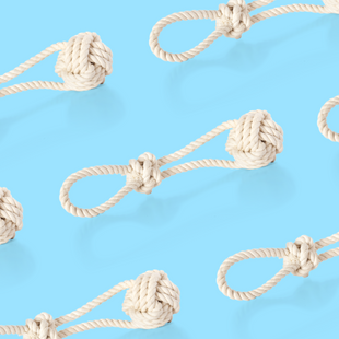 How to choose the best toy for your dachshund