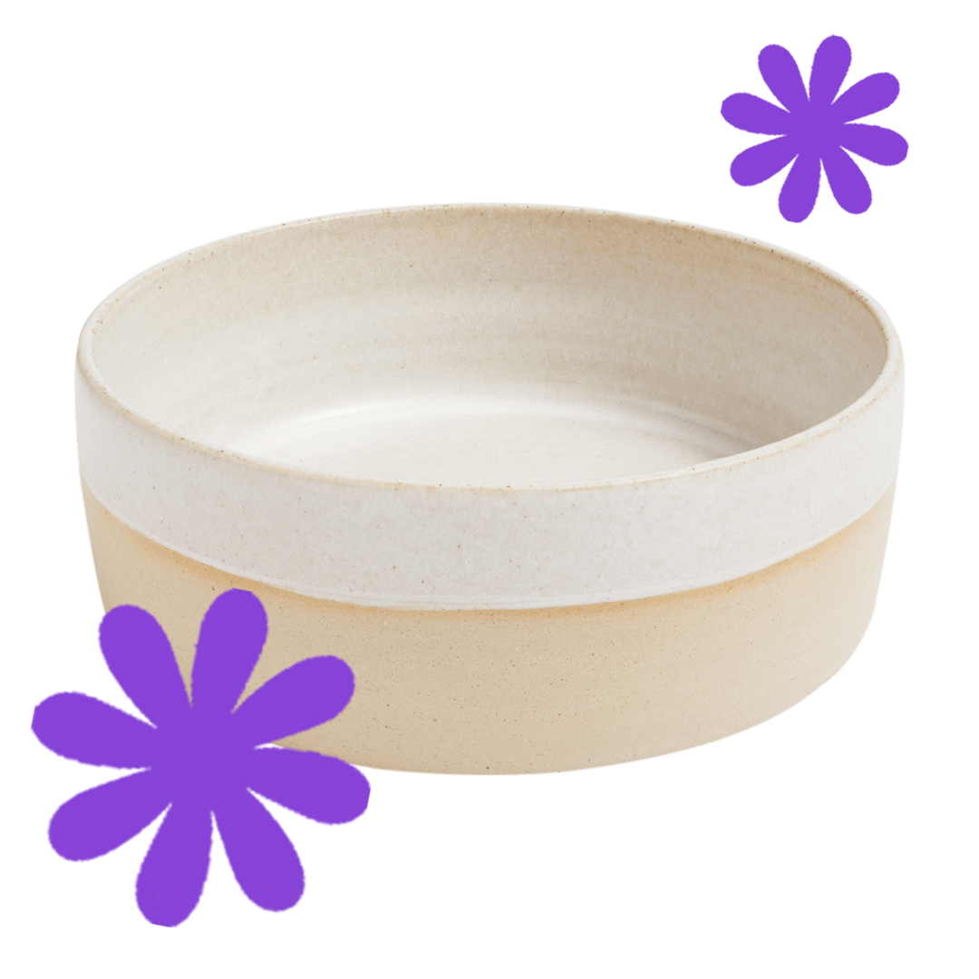 Handmade Ceramic Water Bowl