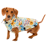 Patterned Doxie Raincoat
