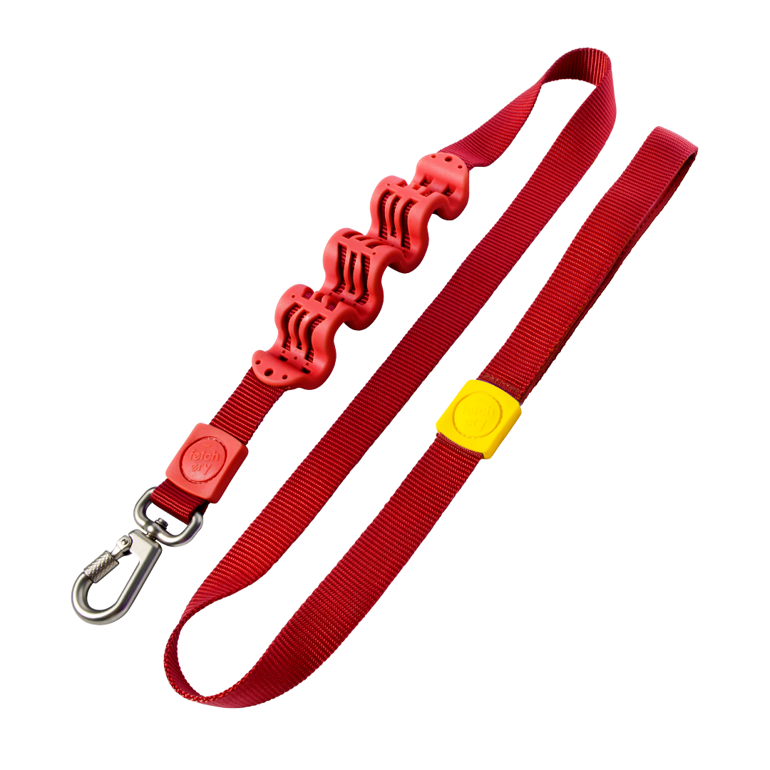 Shock Absorbing Leash