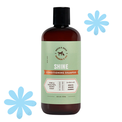 Shine Conditioning Shampoo