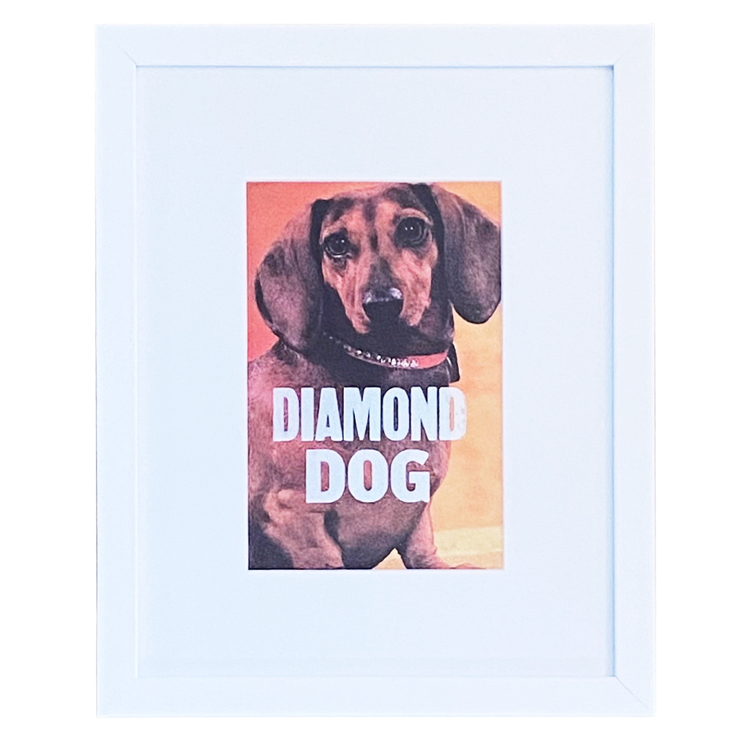"Diamond Dog"