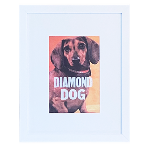 "Diamond Dog"