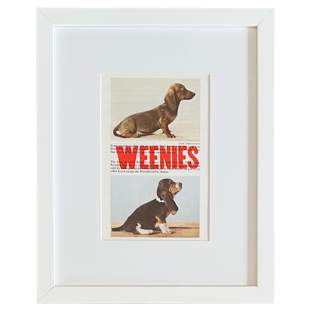 Housebreaking a dachshund in 5 days clearance