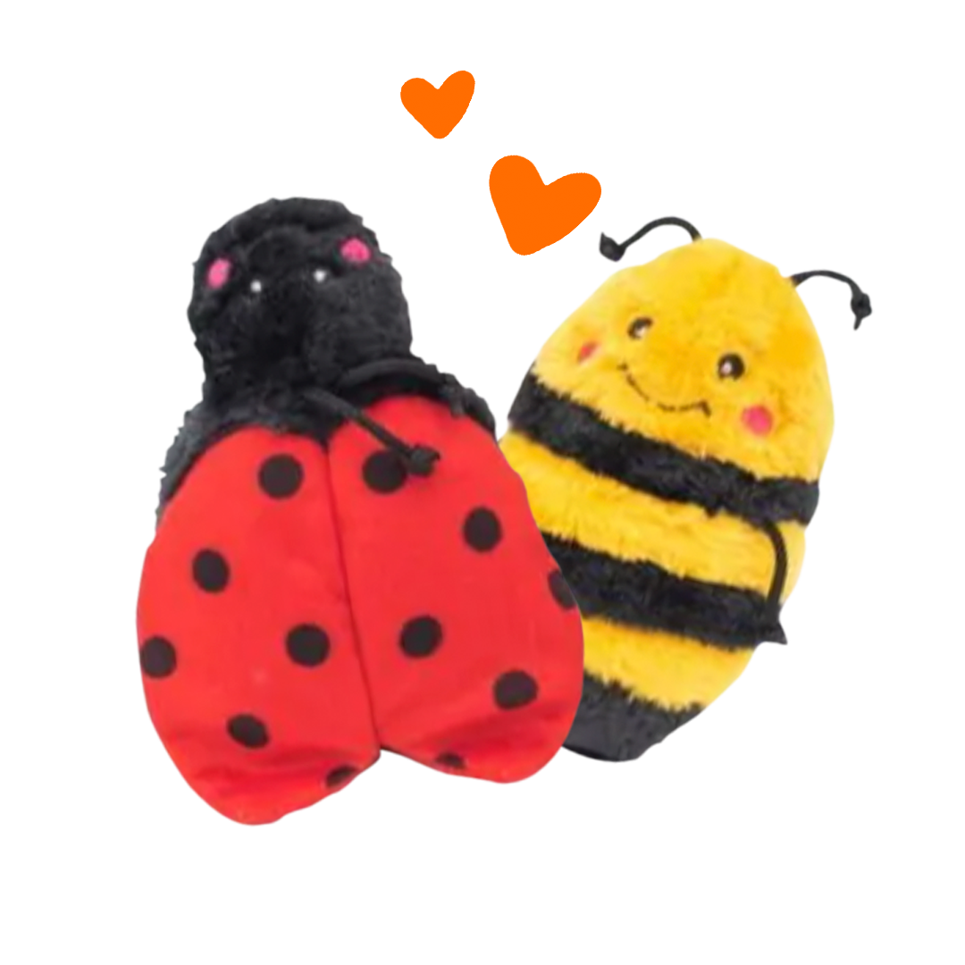 Buzzing Bugs 2 Pack