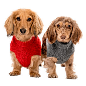 Doxie Cashmere Turtleneck – Witzig