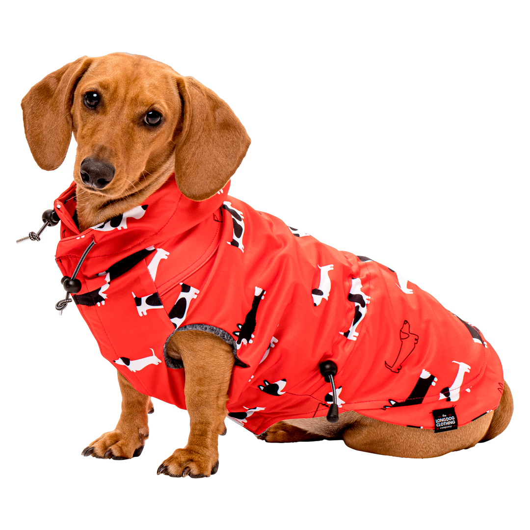 Meta Doxie Raincoat – Witzig