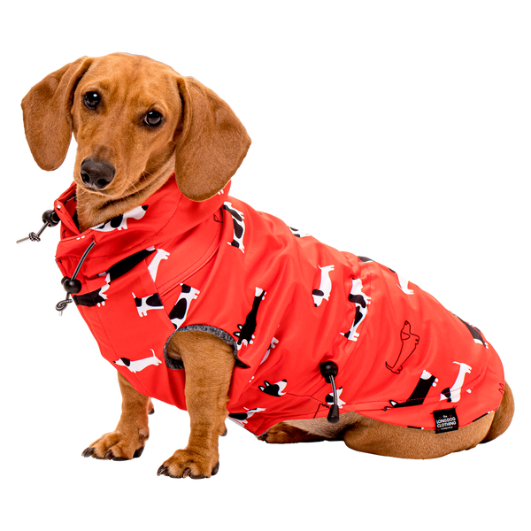 Meta Doxie Raincoat Witzig
