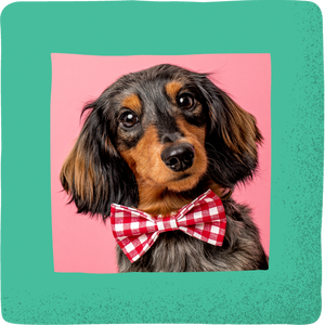 Doxie Gingham Bowtie