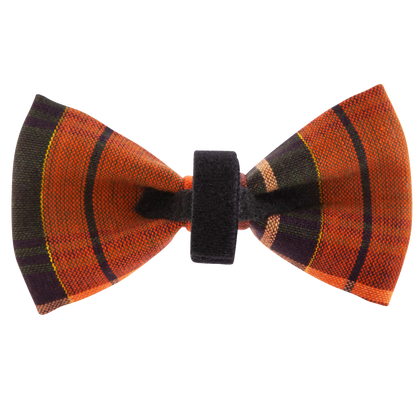 Festive Fall Bowtie