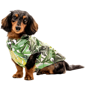 Mod Dachshund Raincoat Witzig