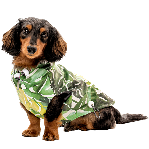 Wiener top dog raincoat