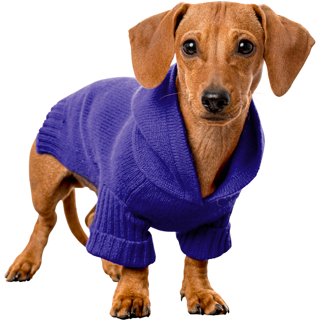 Doxie Cashmere Hoodie
