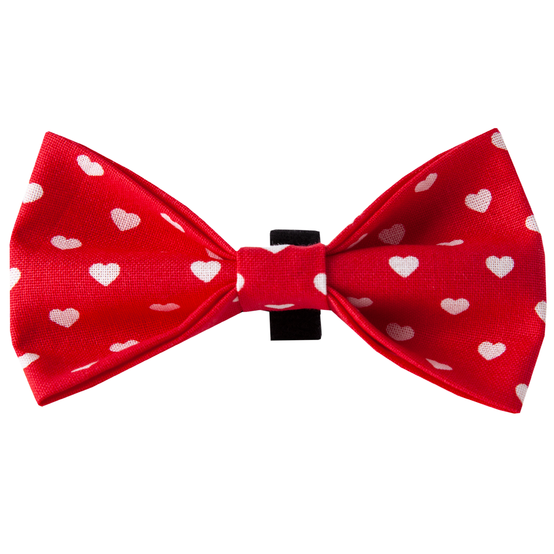 Doxie True Love Bowtie