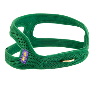 Secure Mesh Harness