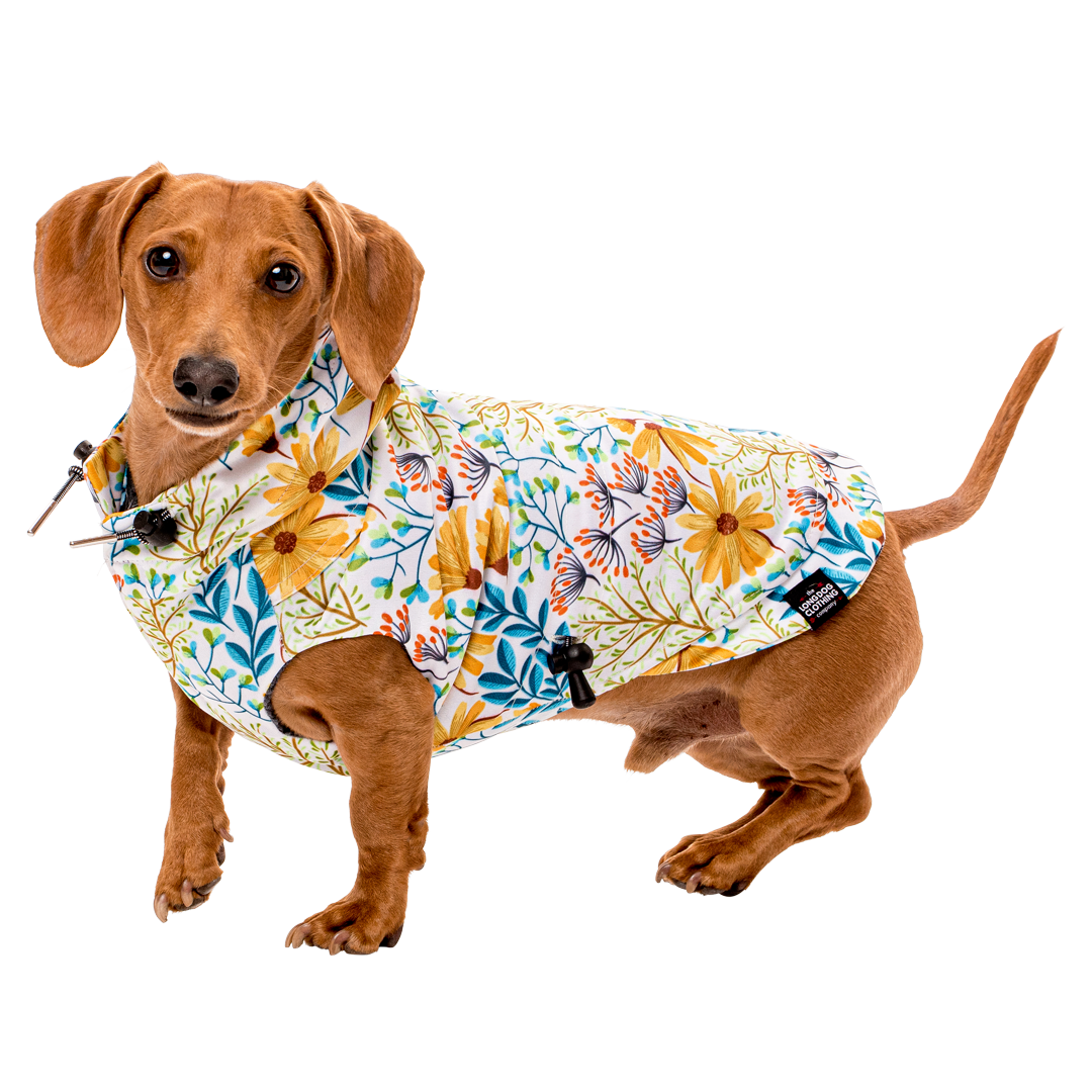 Patterned Doxie Raincoat