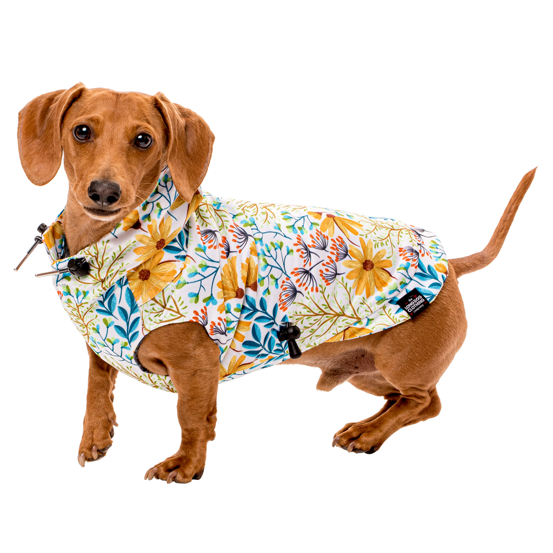 Wiener dog clothing outlet