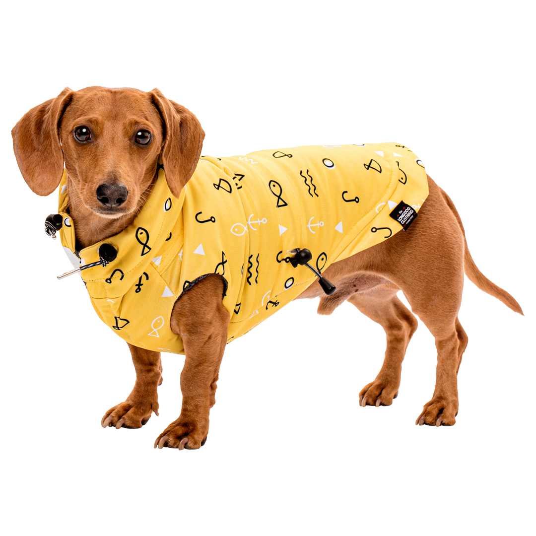 Patterned Doxie Raincoat