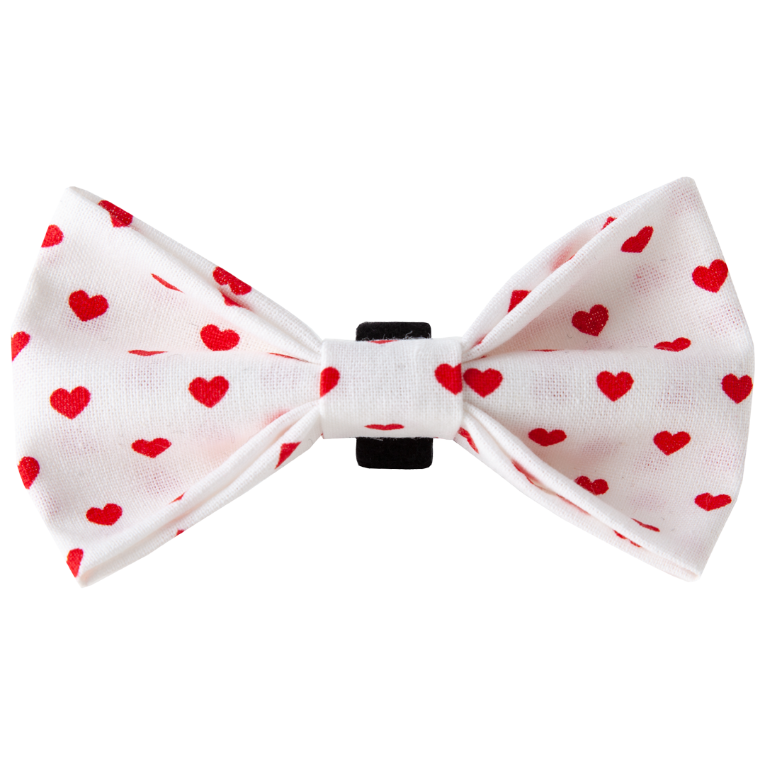 Doxie True Love Bowtie