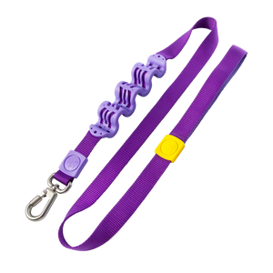 Petique Reflective Leash w/ Shock Absorber for Dogs, Cats, Small