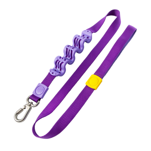 Zee dog sales shock absorbing leash